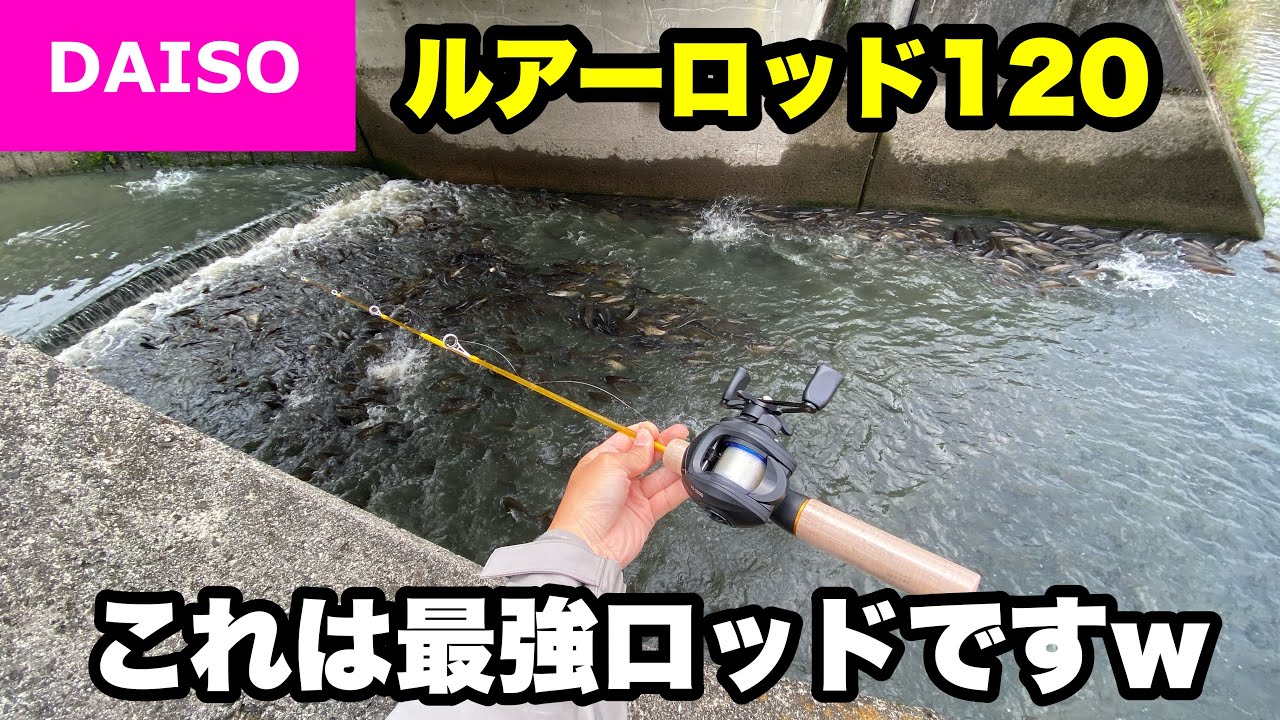 魚が湧きまくってる水路で使ってみたら最強でしたw【ダイソールアーロッド】