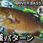 yasu １０月無双パターン…秋冬効く【川バス釣り】スモールマウスバス2025年9月 Small Mouth Bass Fishing