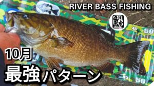 yasu 10月無双パターン…秋冬効く【川バス釣り】スモールマウスバス2025年9月 Small Mouth Bass Fishing
