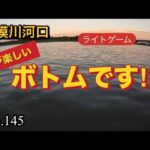 【相模川河口】沢山の当たりに、楽しめました😄(1時間釣行)