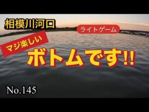 【相模川河口】沢山の当たりに、楽しめました😄(1時間釣行)