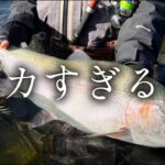 【変えて1投でデカニジマス】鳴り止まないドラグと壮絶ファイトの末・・【屈斜路湖×フルベイトオリカラ】