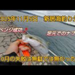 新居海釣り公園　足元でのナブラ　10月のリベンジ成功🎵