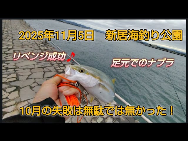 新居海釣り公園 足元でのナブラ 10月のリベンジ成功🎵