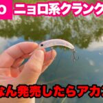 【これ100円はえぐい】このルアー、バス釣りに使ってみたら釣れすぎた