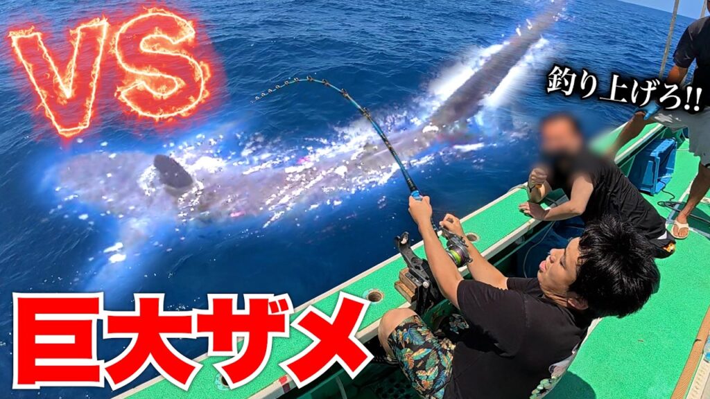 【危険】100kg越えの巨大人喰いザメを釣り上げれるか！？