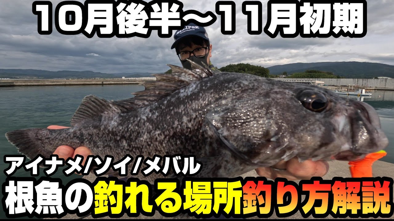 【実釣解説】大型根魚が釣れやすい10月後半から11月初期の魚が釣れる場所の見つけ方&釣り方解説 in岩手&宮城アイナメ/ソイ釣行 -40オーバークロソイ降臨-