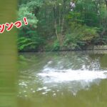 10月某日、野池の底釣り【ASMR】