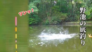 10月某日、野池の底釣り【ASMR】