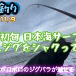 【秋田釣り】11月の日本海サーフで反応薄い中メタルジグをシャクり続けてきました #秋田 #サーフフィッシング