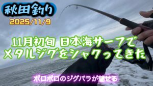 【秋田釣り】11月の日本海サーフで反応薄い中メタルジグをシャクり続けてきました #秋田 #サーフフィッシング