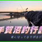 【バス釣り】11月の手賀沼釣行編　手賀沼バサーさん達と釣行させて頂きました　　＃手賀沼パトロール　＃トップウォーター　＃秋のバス釣り