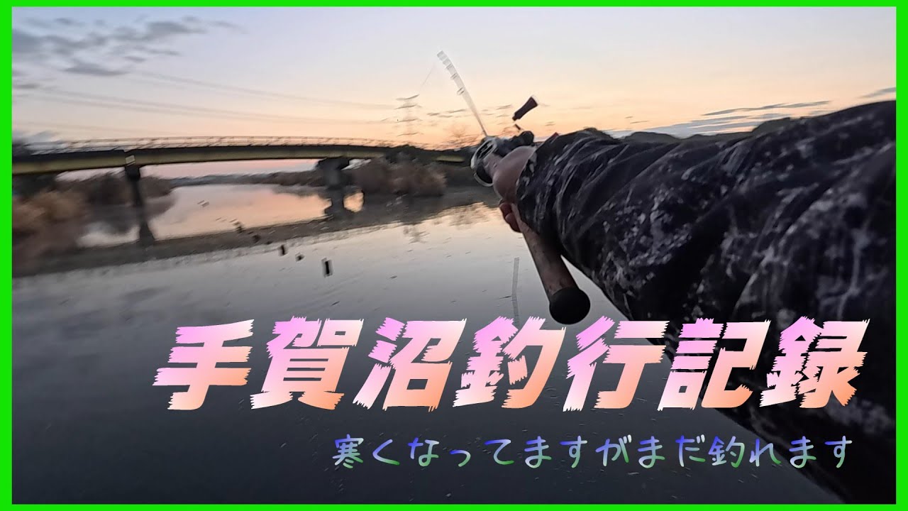 【バス釣り】11月の手賀沼釣行編 手賀沼バサーさん達と釣行させて頂きました #手賀沼パトロール #トップウォーター #秋のバス釣り