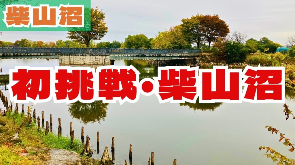 【11月柴山沼】埼玉のメジャーフィールド、寒い雨の中でバスは釣れるのか！？