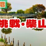 【11月柴山沼】埼玉のメジャーフィールド、寒い雨の中でバスは釣れるのか！？