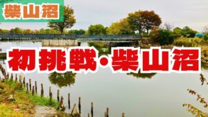 【11月柴山沼】埼玉のメジャーフィールド、寒い雨の中でバスは釣れるのか！？