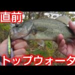 【近藤沼】【冬直前のバス釣り】11月下旬にトップウォーターで釣る