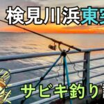 11月の検見川浜東突堤サビキ釣り調査｜激渋の夕マヅメ時に突如到来した時合いに釣れたのは・・