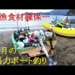 11月の2馬力ボート釣り　久しぶりにエサ釣りに集中したら大漁だった