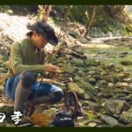 日本古来の釣り「テンカラ」の魅力。南会津の自然の中でイワナを探す 1/2 『渓流ギャラリー』【釣りビジョン】