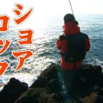 宮城気仙沼でアイナメ狙いのロックショアゲーム！ 1/2 『Rock'n Fish 72』【釣りビジョン】