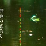 13尺で挑むバランスの底釣り【ASMR】