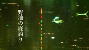 13尺で挑むバランスの底釣り【ASMR】