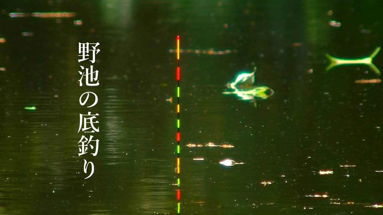 13尺で挑むバランスの底釣り【ASMR】