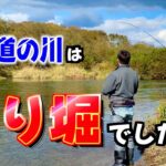 北海道の川で“15分だけ”釣りをしたらこうなる。