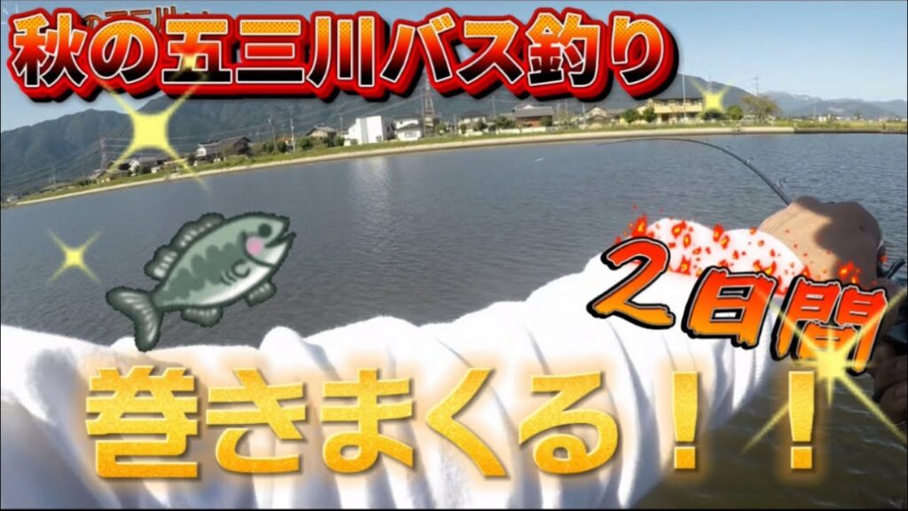 秋の五三川でバス釣り！！2日間バイブレーションを巻きまくる！！【大江川】【五三川】【養老水系】【秋バス】【巻物】【バス釣り】