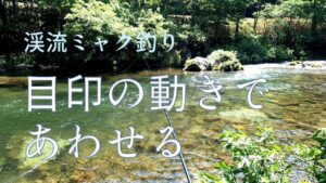 【渓流ミャク釣り】目印の動きであわせる 2022