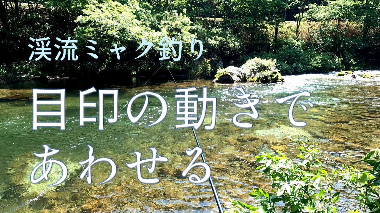 【渓流ミャク釣り】目印の動きであわせる 2022