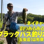 ブラックバス釣り2023 玉虫沼（山形県山辺町）