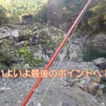 20231103天川管理釣り場でフライフィッシング