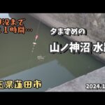 冬でも釣れる山ノ神沼水路のマス！【埼玉県蓮田市】2024.12.15 small fish fishing/woman fishing