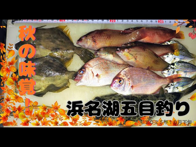 浜名湖五目釣り2025　　＃浜名湖釣り　＃カワハギ釣り　＃五目釣り