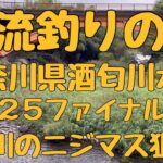 渓流釣りの旅　神奈川県酒匂川水系　2025ファイナル前編　狩川でニジマス釣り