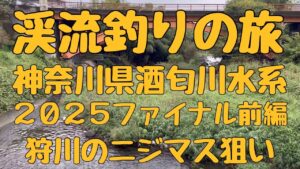 渓流釣りの旅　神奈川県酒匂川水系　2025ファイナル前編　狩川でニジマス釣り