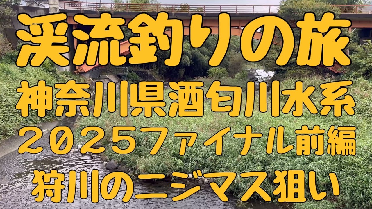 渓流釣りの旅　神奈川県酒匂川水系　2025ファイナル前編　狩川でニジマス釣り