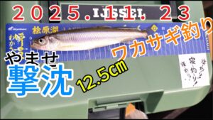 2025.11.23 やませ ワカサギ釣り釣行#ワカサギ釣り#桧原湖#冬釣り#ドーム船#氷上釣り#やませ