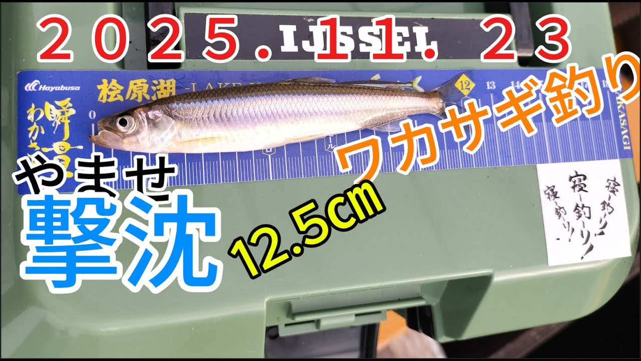 2025.11.23 やませ　ワカサギ釣り釣行＃ワカサギ釣り＃桧原湖＃冬釣り＃ドーム船＃氷上釣り＃やませ