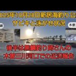 2025年10月末　浜名湖と愛知木曽三川の釣り状況