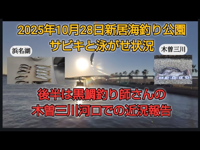 2025年10月末 浜名湖と愛知木曽三川の釣り状況