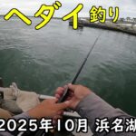 2025年10月 浜名湖(楽しいヘダイ釣り)