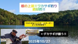 根の上湖‼️ワカサギ釣り絶好釣‼️ワカサギはチーズとニンニクどっちがお好き？2025年10月27日