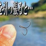 美味しい川魚が集結する場所でちょっと……って思う釣りを試してみたら奥深さを知れました。2025年10月28日山梨県桂川
