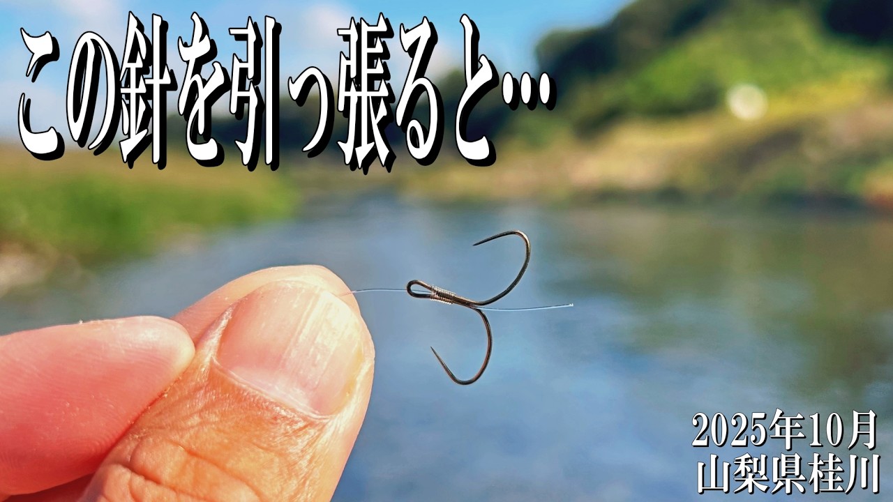 美味しい川魚が集結する場所でちょっと……って思う釣りを試してみたら奥深さを知れました。2025年10月28日山梨県桂川