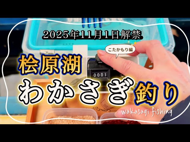【ワカサギ釣り】2025年11月解禁の桧原湖ワカサギ釣り #ワカサギ釣り #桧原湖 #釣り