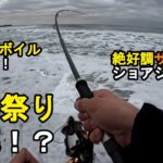 【茨城県某所】今季絶好調！秋のサーフショアジギングで青物祭り開幕！海釣りハイシーズン期間に関東地方の太平洋側の鹿島灘（砂浜）エリアでメタルジグを使ったルアー釣りをしてみたら…！【2025年11月中旬】