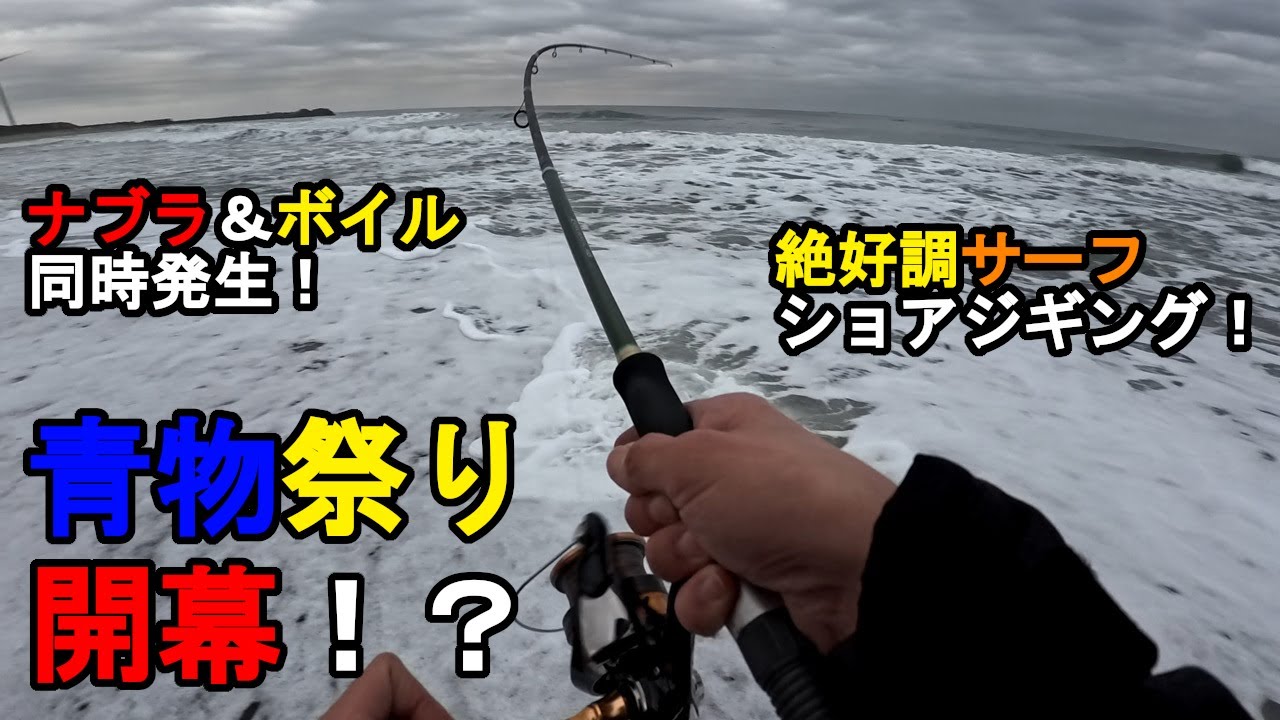 【茨城県某所】今季絶好調!秋のサーフショアジギングで青物祭り開幕!海釣りハイシーズン期間に関東地方の太平洋側の鹿島灘(砂浜)エリアでメタルジグを使ったルアー釣りをしてみたら…!【2025年11月中旬】